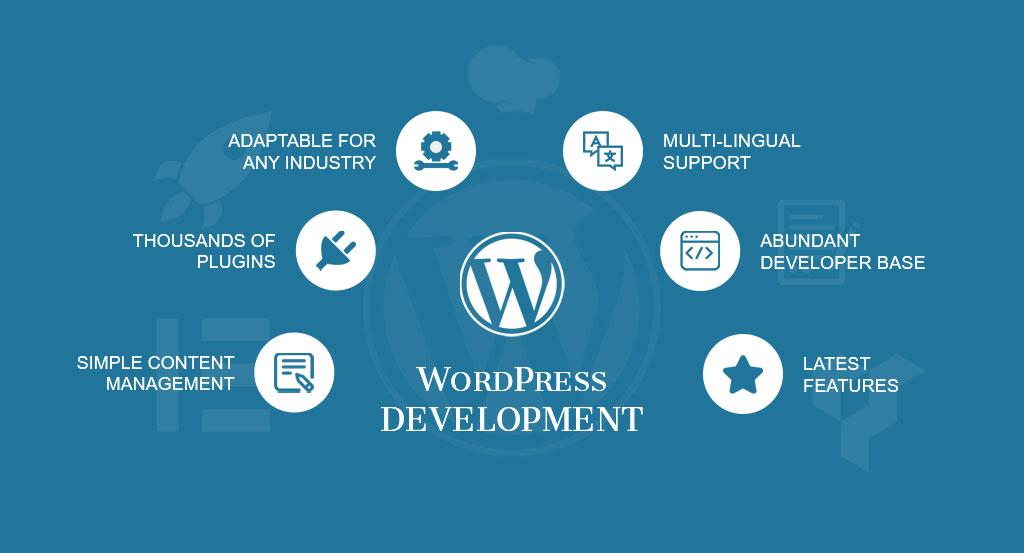 wordpress developers in surat