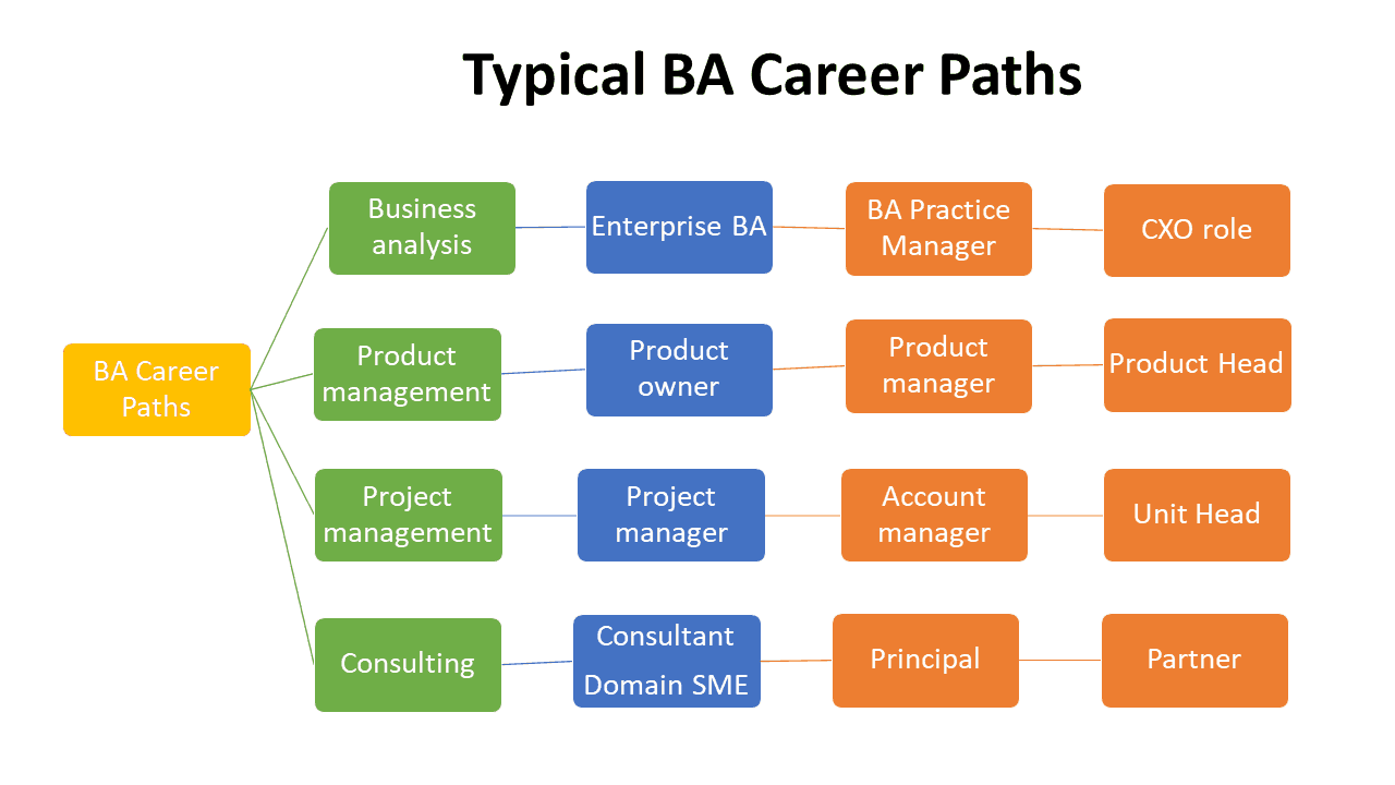 Business Analyst career path